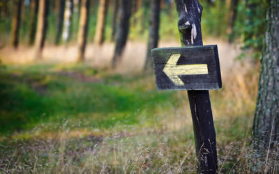 What are some limiting beliefs holding you back from making a career change?