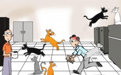 Herding Cats
